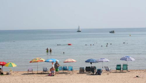 OLIVA HOLIDAYS 2 - Photo 5