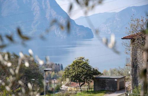 Il Giardino di Laura - Photo 25