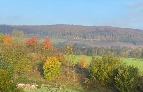 Ferienwohnung Taubenschlag - Foto 31