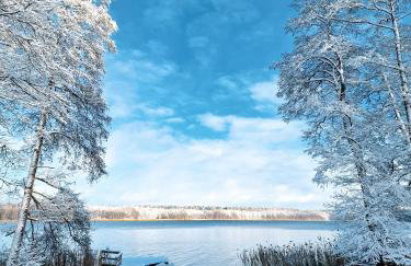 Bobrowa Ostoja - Photo 58