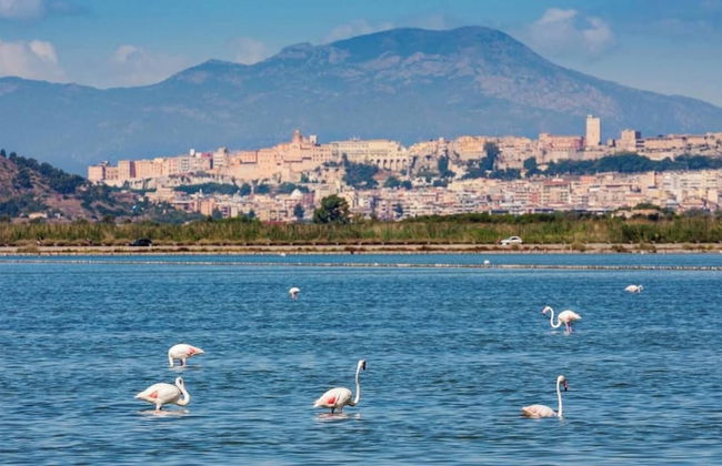 Room-la Palma Double Room With Balcony L - Foto 23