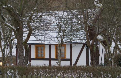 Górski Sad - Bazylia - Foto 24