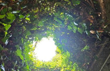 Le Allegre Comari di Nesso, casa e benessere - Foto 13