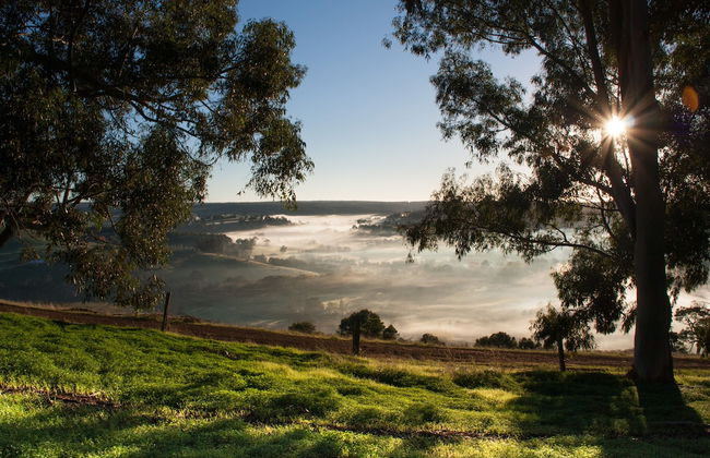 Balingup Heights Hilltop Forest Cottages - Foto 66