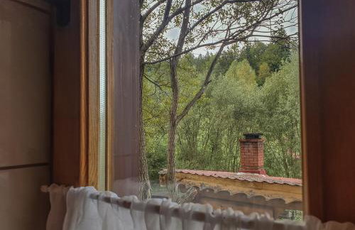 Kałamunka - Foto 67