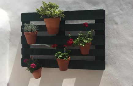 Pinheiro de Monsaraz-Casas da Colmeia T2 - Foto 24