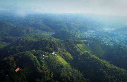 Domus Antiqua - Foto 6