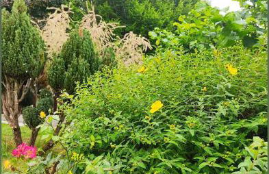 L'écureuil parisien Maison de charme avec jardin proche Paris - Foto 22