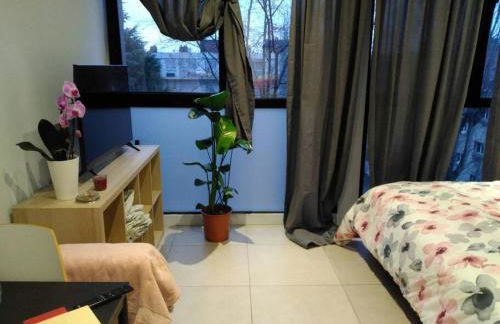 Studio de l'orchidée - Foto 5