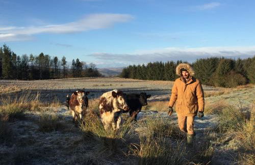 Holly Lodge, Gilchristland Organic Farm cottage - Foto 24
