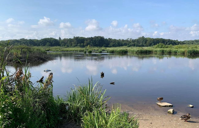 Single-story Holiday Home Near the Sea, Ustronie - Foto 15