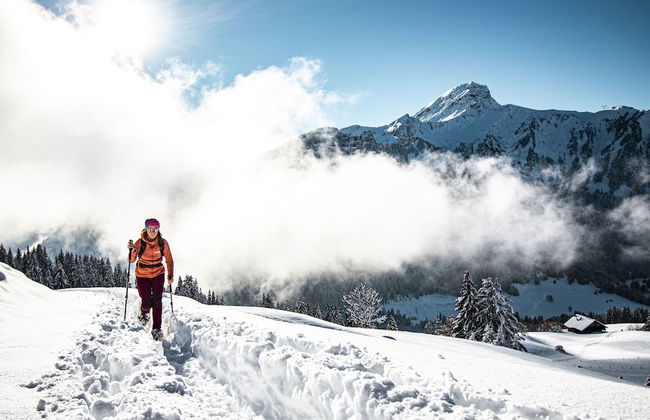 Châtel Réservation - Foto 57