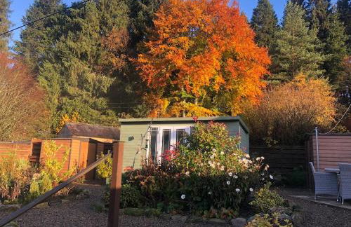 Castle Cottage with views of Kielder Castle - Foto 11