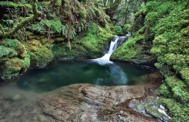 Impeccable 1-bed Cottage on the Edge of Dartmoor - Foto 23