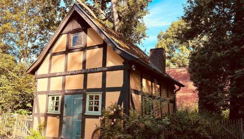 Auszeit vom Alltag in urigem Ferienhaus in idyllischer Natur im Dümmer-Weserland, Sauna & Kraniche - Foto 2