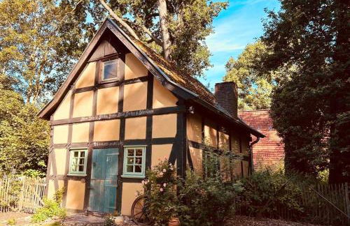 Auszeit vom Alltag in urigem Ferienhaus in idyllischer Natur im Dümmer-Weserland, Sauna & Kraniche - Foto 2