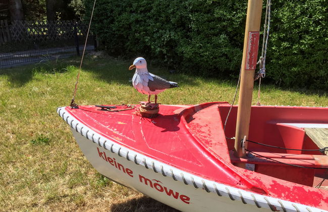 Kleine Möwe - Photo 17