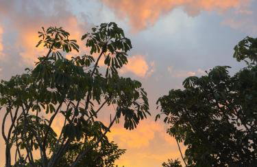 Caminho do mar - Foto 12