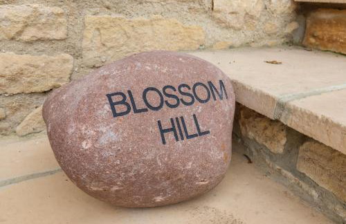 Blossom Hill - Photo 3