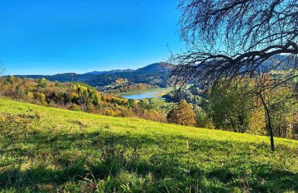 Domek Malinowy - Photo 52