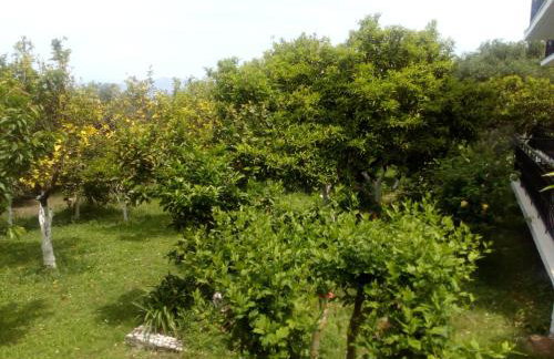 Maria's Paradise - Foto 45