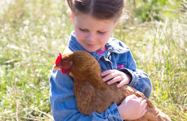 Nymarksminde Apartments & Farmpark - Foto 19