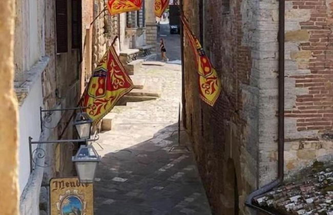 Meublé Il Riccio - Foto 5