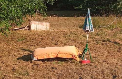 Maison à l'ancienne avec grand terrain , animaux bienvenus - Foto 77