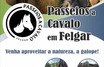 Quinta do Retiro - Foto 48