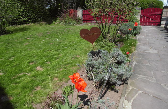 Friedrichs Ferienwohnungen - Foto 2