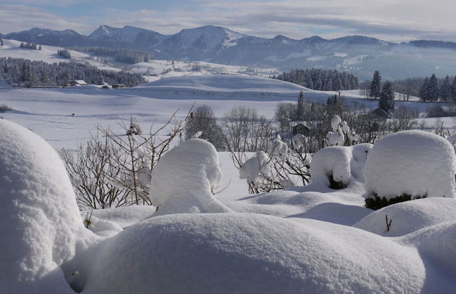 Holiday Apartment Hildegard Birds - Foto 13