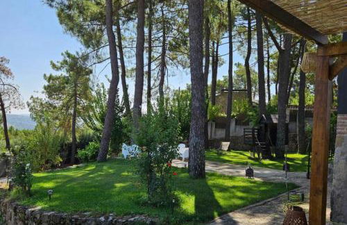 La Piñona - ACOGEDOR CHALET EN LAS ESTRIBACIONES DE LA SIERRA DE GREDOS - CASA PARA 6 PERSONAS CON PISCINA EN EL TIEMBLO ÁVILA - Photo 13