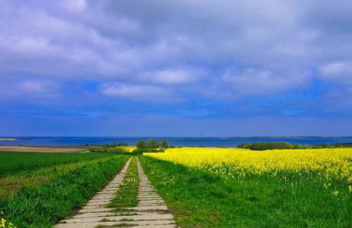 Family-Friendly Stay in Alt Bukow - Photo 30