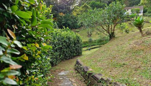 Chácara em Nova Friburgo (espaço inteiro) - Foto 4