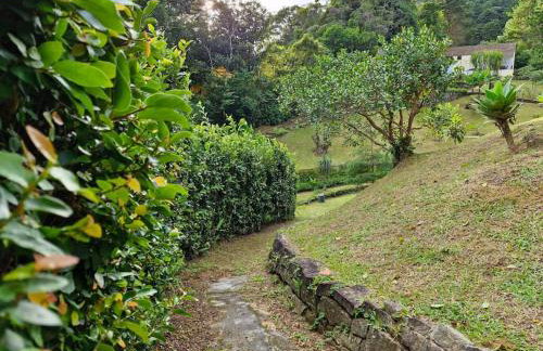 Chácara em Nova Friburgo (espaço inteiro) - Foto 4