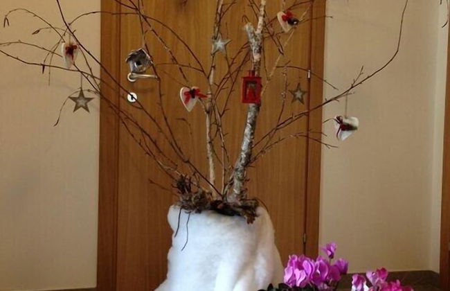 Agriturismo Al Vecchio Portico - Photo 43