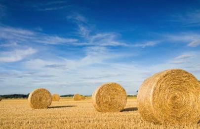 L Écrin des Sieurs - Foto 14