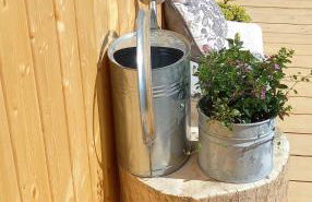 Bayerwaldtiny - Foto 12