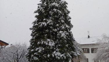 Appartamento Tenaglia - Foto 5