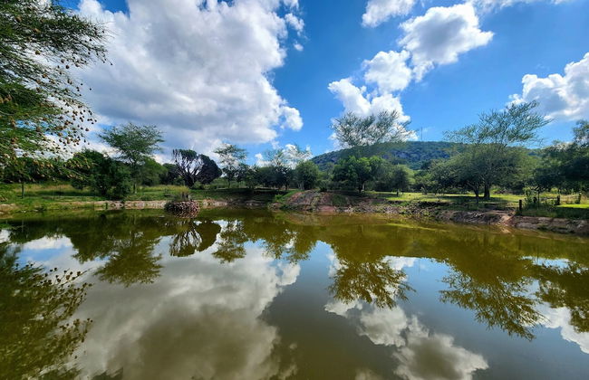 Buyskop Lodge - Foto 56