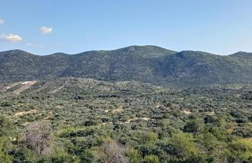 Holiday Home Peran - Foto 70