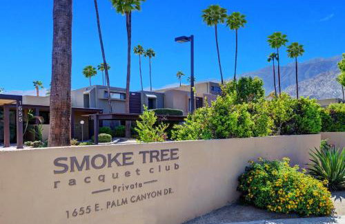 Smoketree Original - Foto 43