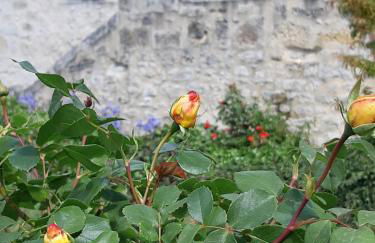 grande girondine aux portes du perigord - Foto 24