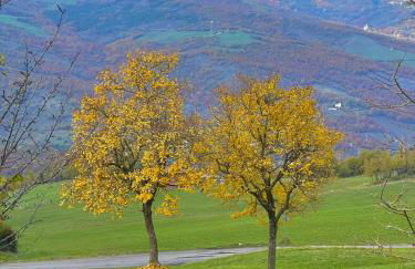 Mazzetti Country House-Vita in campagna con giardino - Foto 48