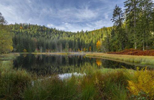 Sagenhafter Ausblick - Foto 28