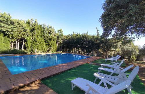 Pozuelo 1 JABUGO - Foto 17