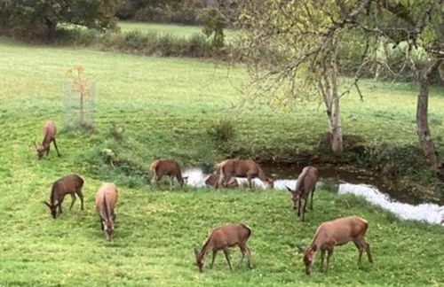 2 Bed in Chepstow oc-95046 - Foto 33