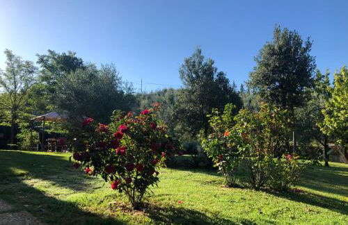 Casale il Fontanellino - country house near Florence - Foto 77