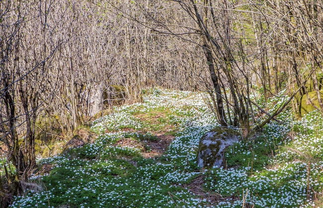 7 Person Holiday Home in Lyngdal - Foto 15