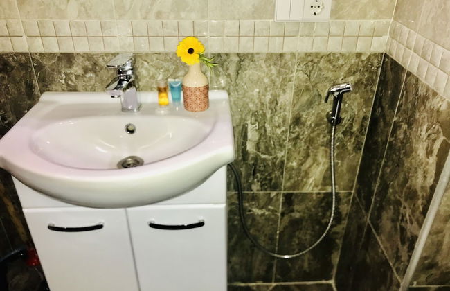 My flat near METEKHI - Foto 44